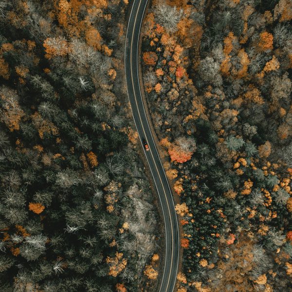 Overhead view of a road through a fall forest