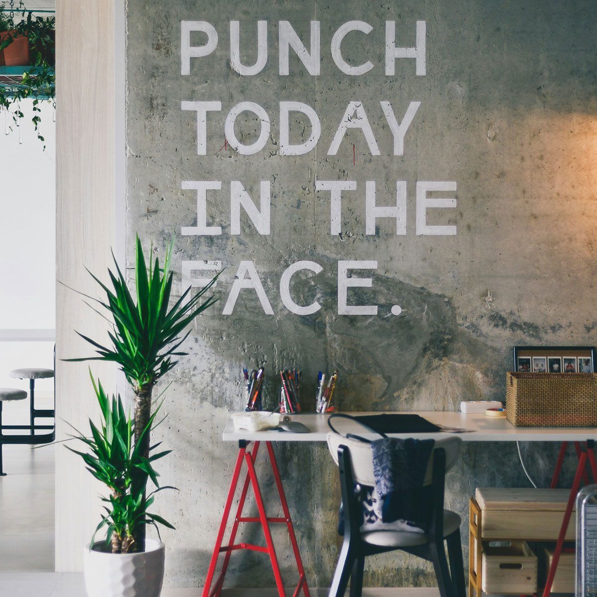 Industrial office space with "Punch today in the face" painted on a concrete wall